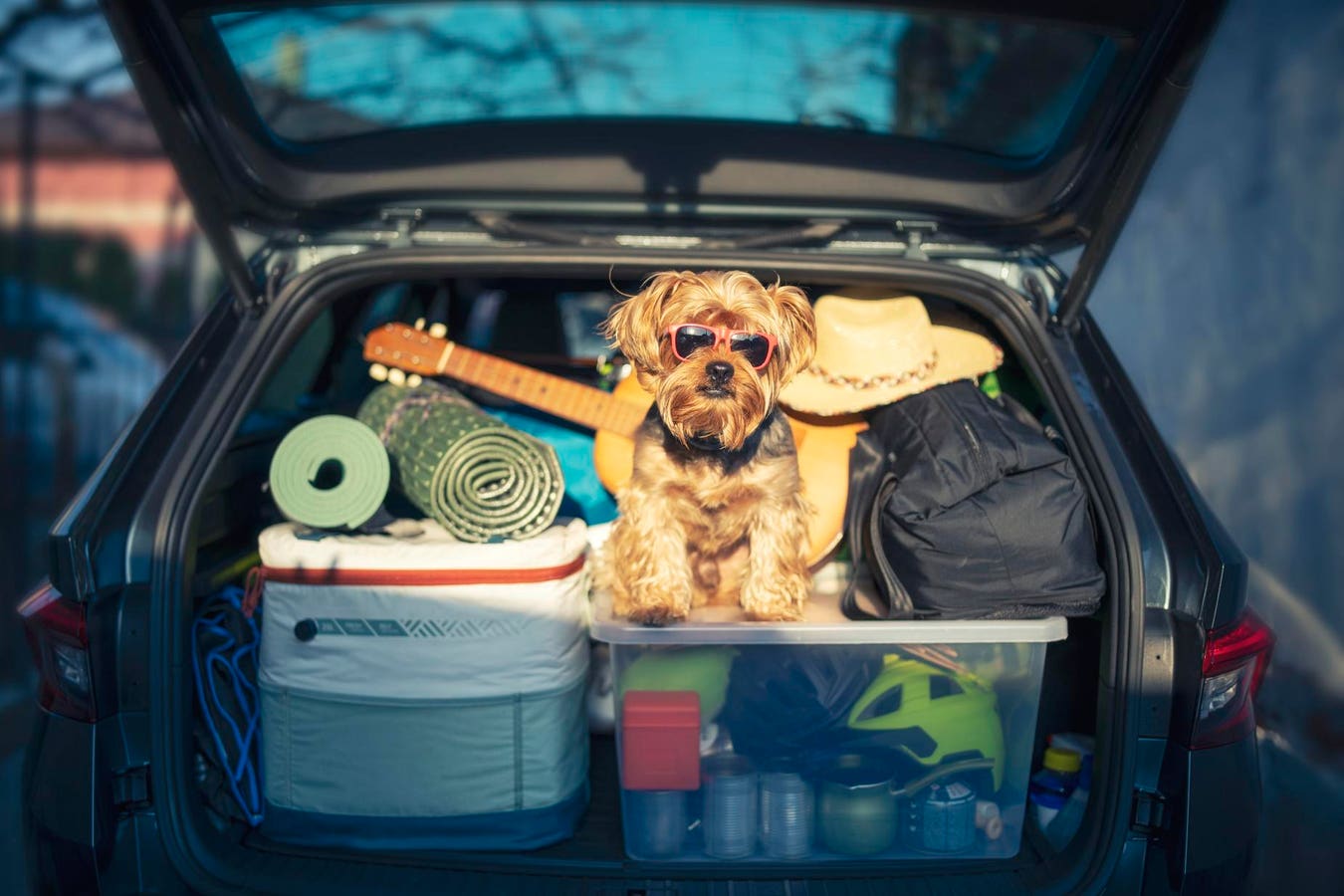 7 Indispensables Pour Votre Prochaine Aventure