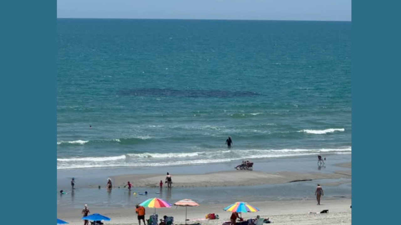 Sous-marin aperçu au large de Myrtle Beach ? La vérité sur les taches noires