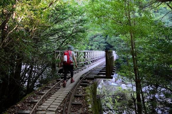 Pont suspendu pittoresque sur le sentier