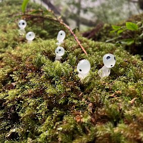 Figurines des esprits de la forêt Kodama sur le sentier Taikoiwa Rock, vallée Shiratani Unsuikyo, Yakushima