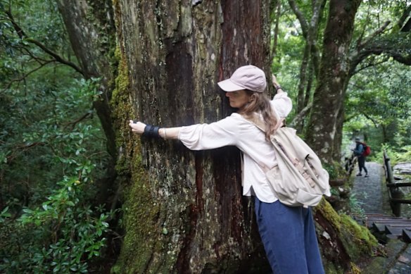 Un amoureux des arbres en pleine immersion