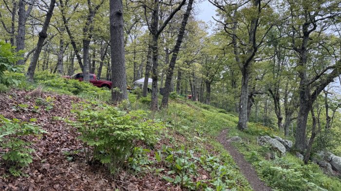 Camping en bordure de sentier