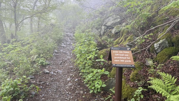 Chemin rocheux dans la montagne