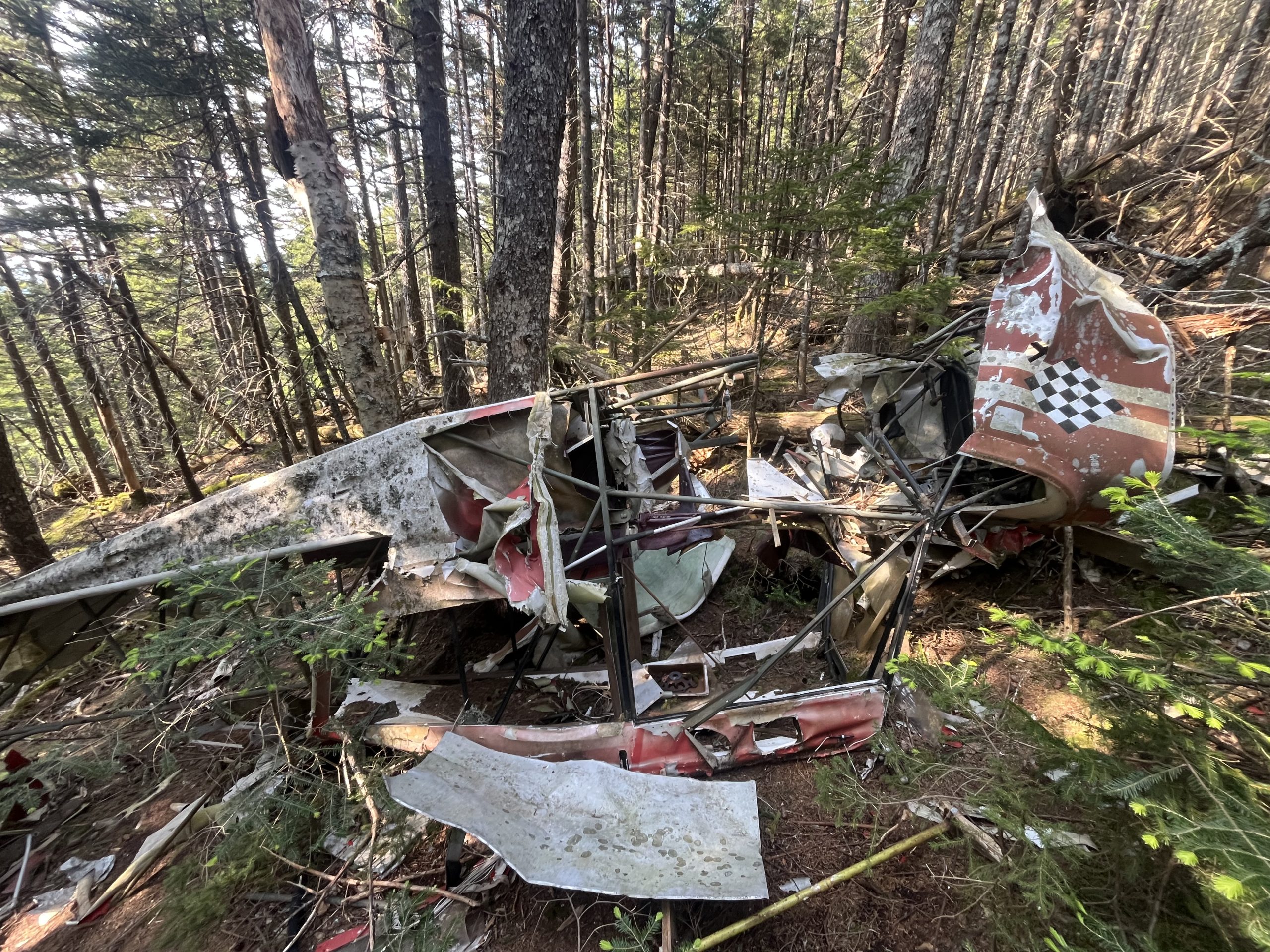 Épave d’avion dans une forêt dense