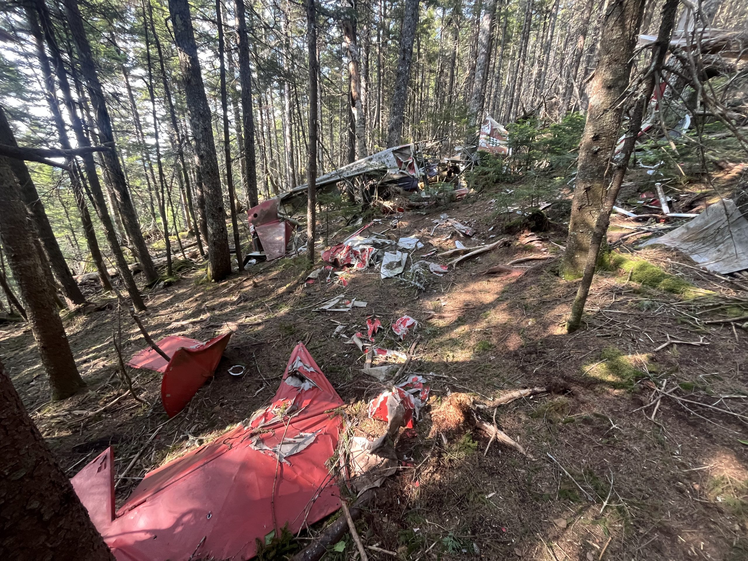 Epave d’avion dans la forêt dense