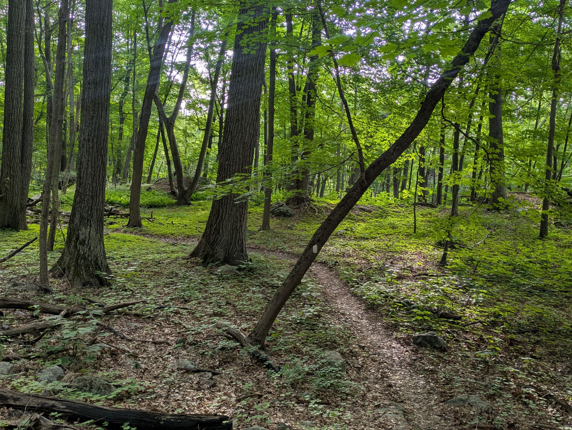 Formations rocheuses typiques dans la région de New York