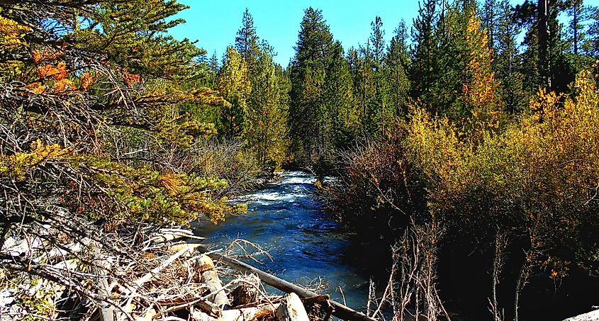 Le ruisseau Whychus près de Sisters, Oregon, en automne