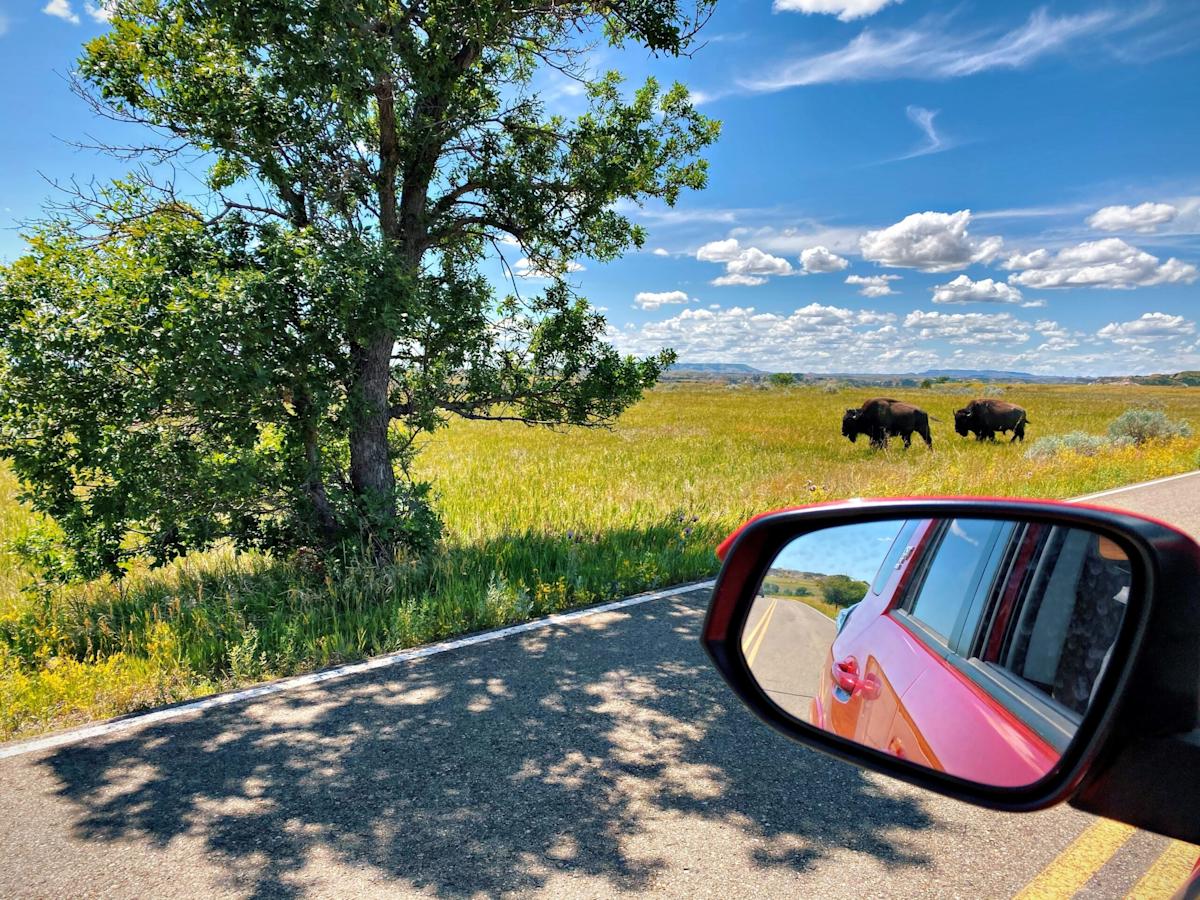 Découvrez comment explorer le Dakota du Nord comme un local en road trip
