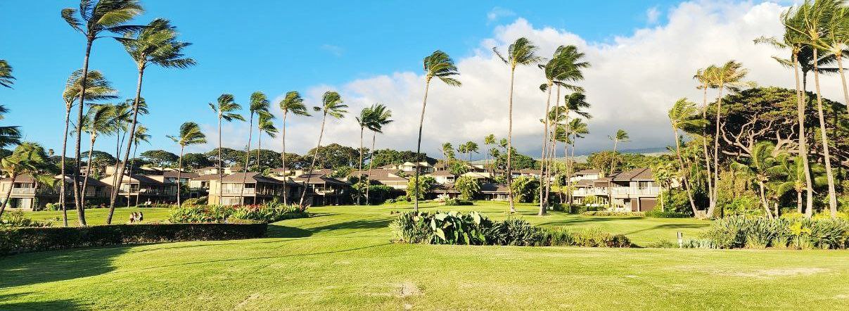 Maui reçoit 1,6 milliard – les locations de vacances peuvent-elles résister à l’avenir ?