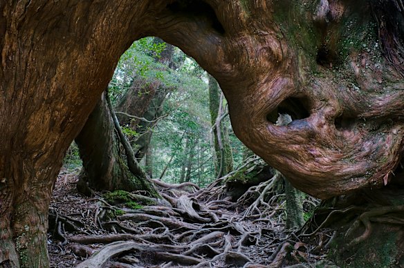 Paysage naturel à couper le souffle, digne d'un conte de fiction