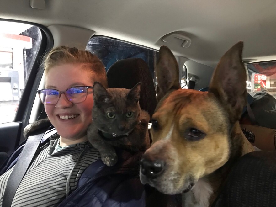Voyage en voiture avec un passager, un chat et un chien