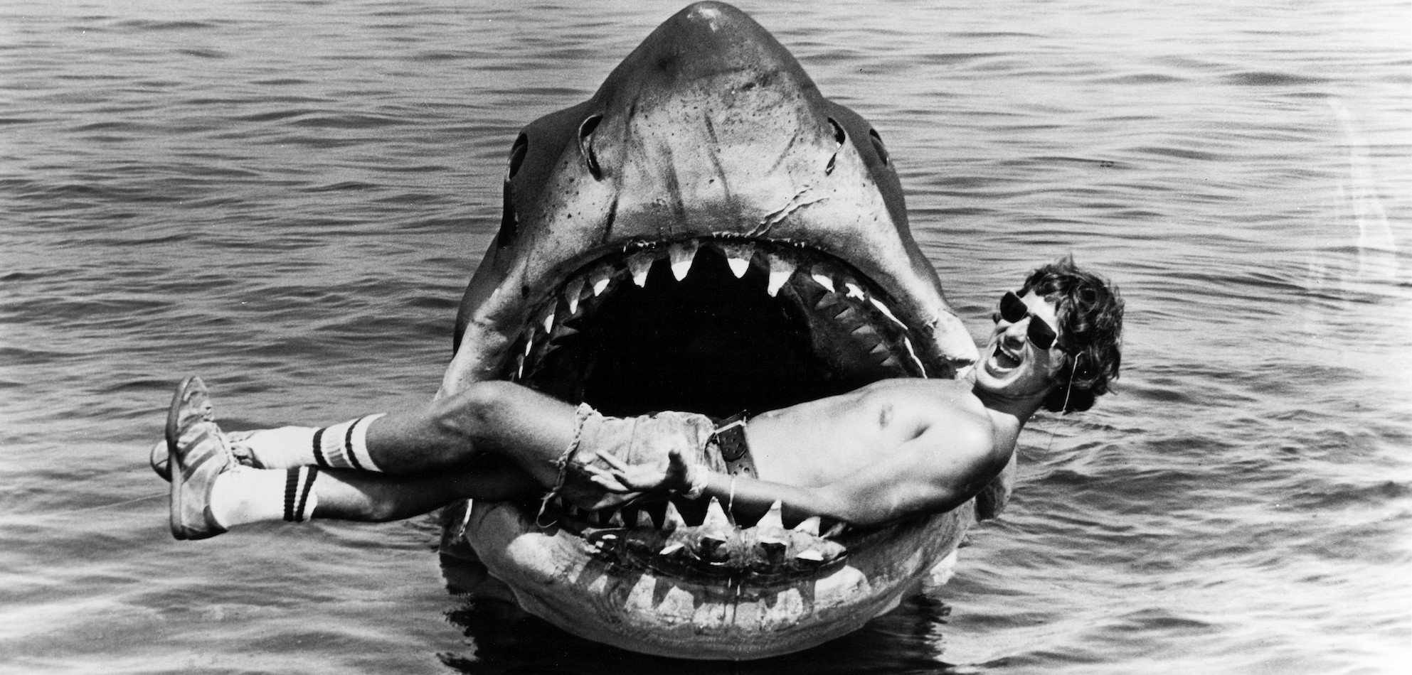50 ans de « Les Dents de la Mer » à Martha’s Vineyard : un anniversaire mémorable