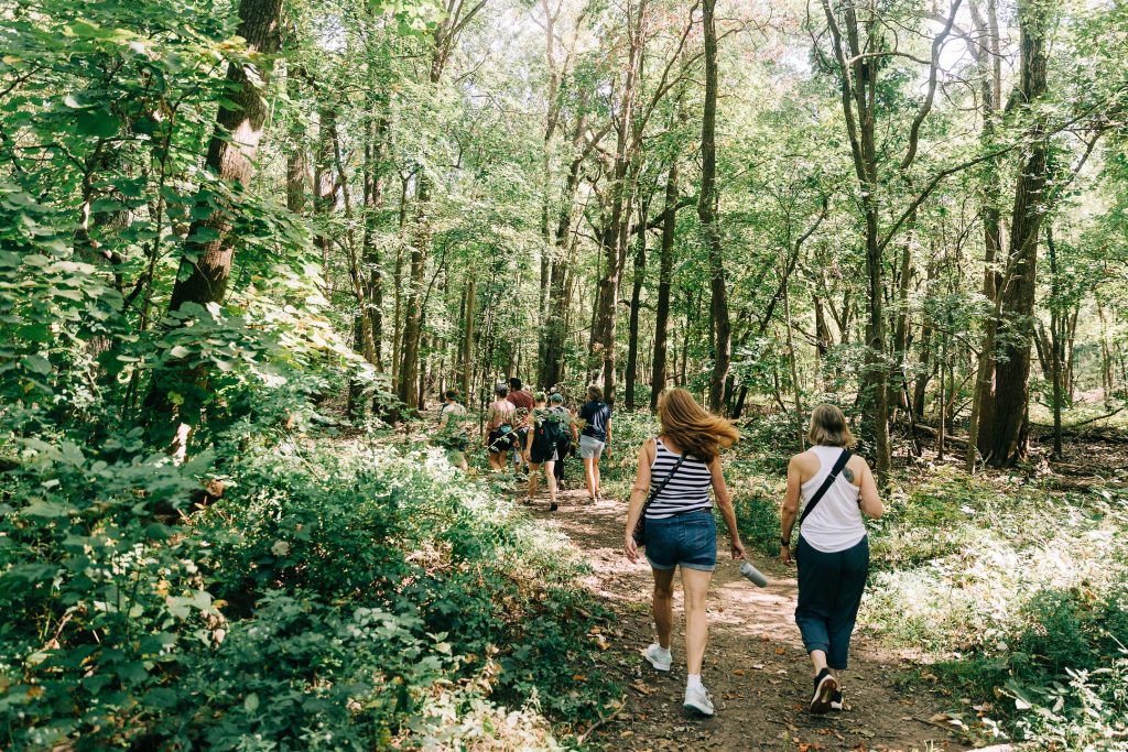 Randonnée Trail to Taproom