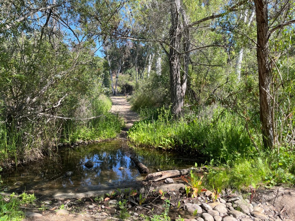 Randonnée incontournable dans East Shepherd Canyon, San Diego