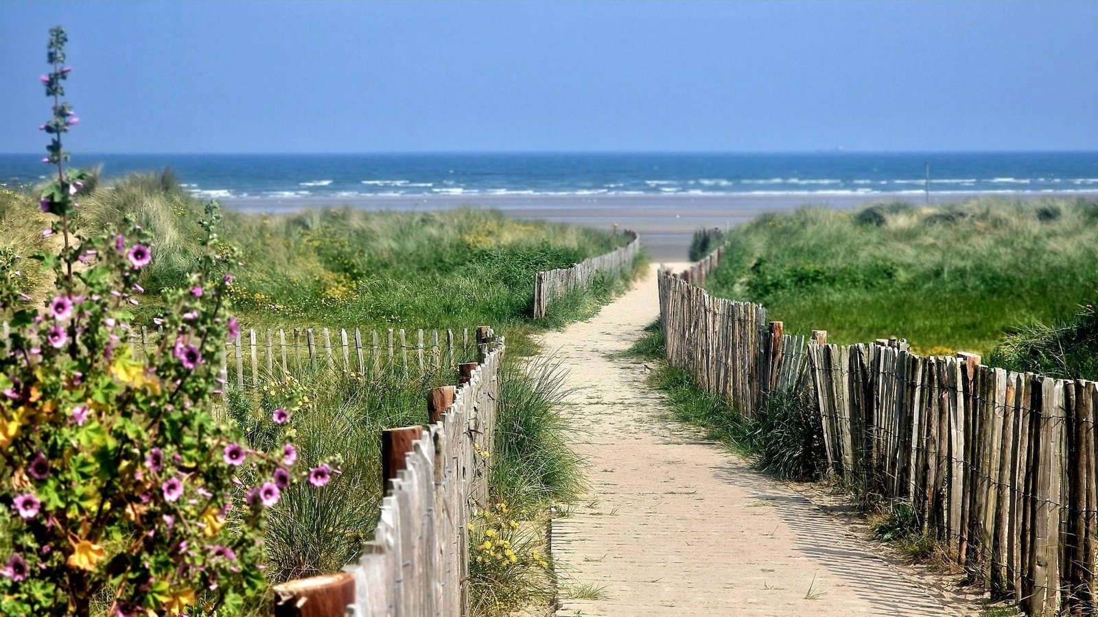 Comment les Irlandais profitent de la nature et du grand air