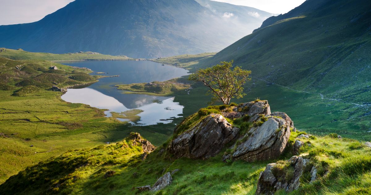 Top 10 road trips UK incontournables plébiscités par les conducteurs, devant les USA