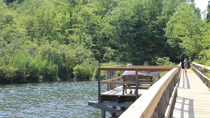 Trésors Naturels Cachés à Découvrir sur Long Island