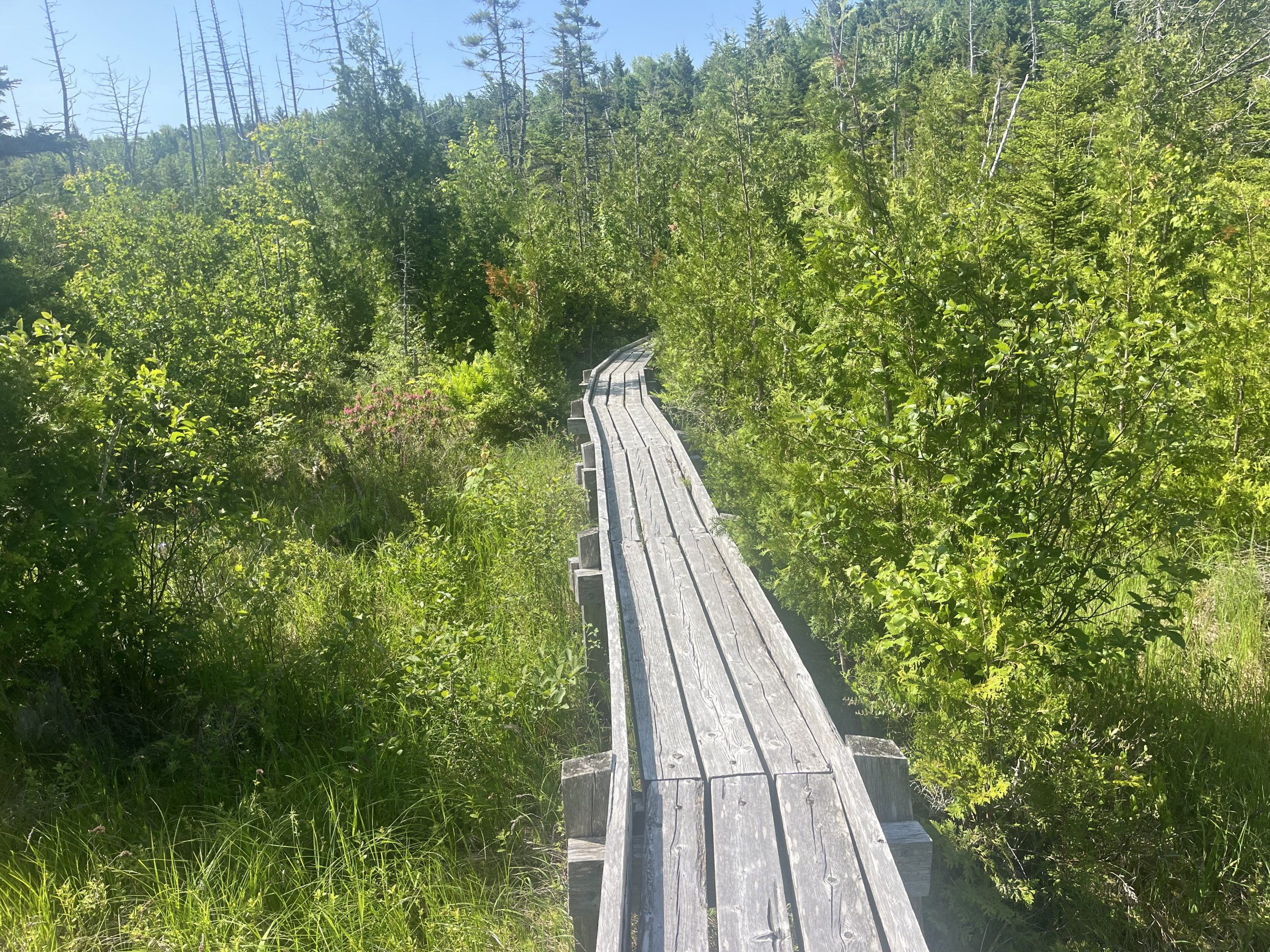 Ponts sur la randonnée