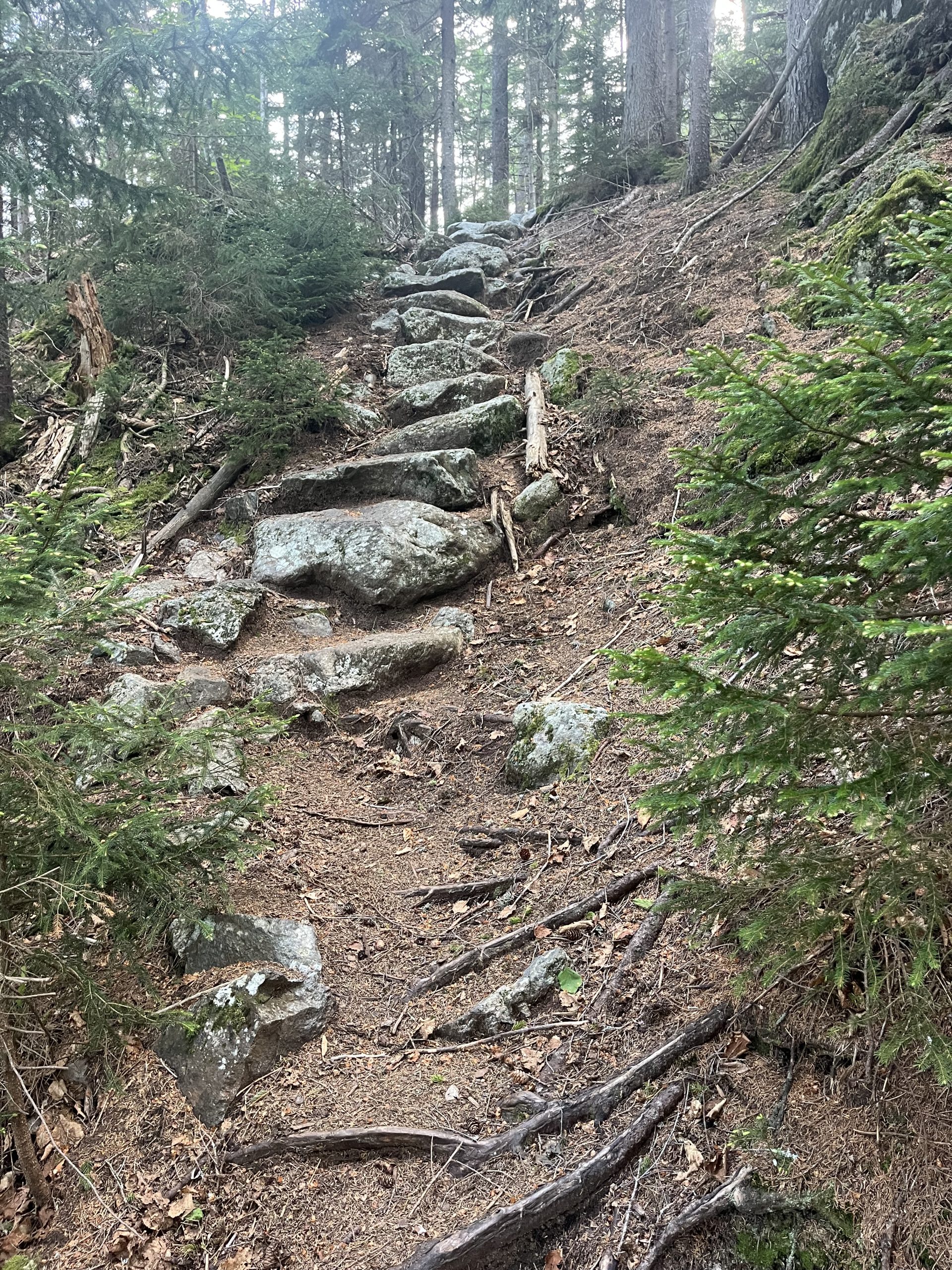 Montée sur des rochers