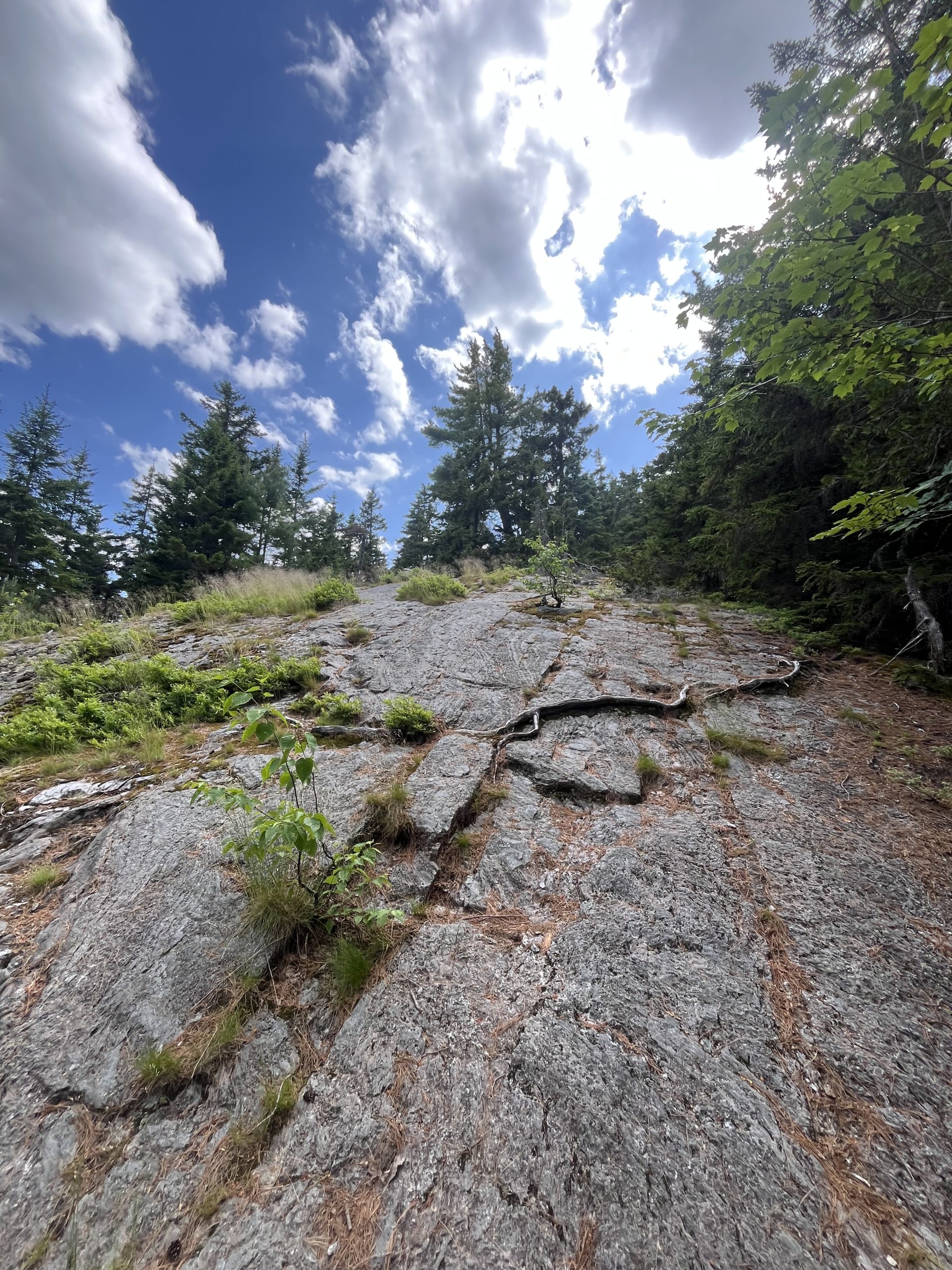 Sentier technique dans le Maine