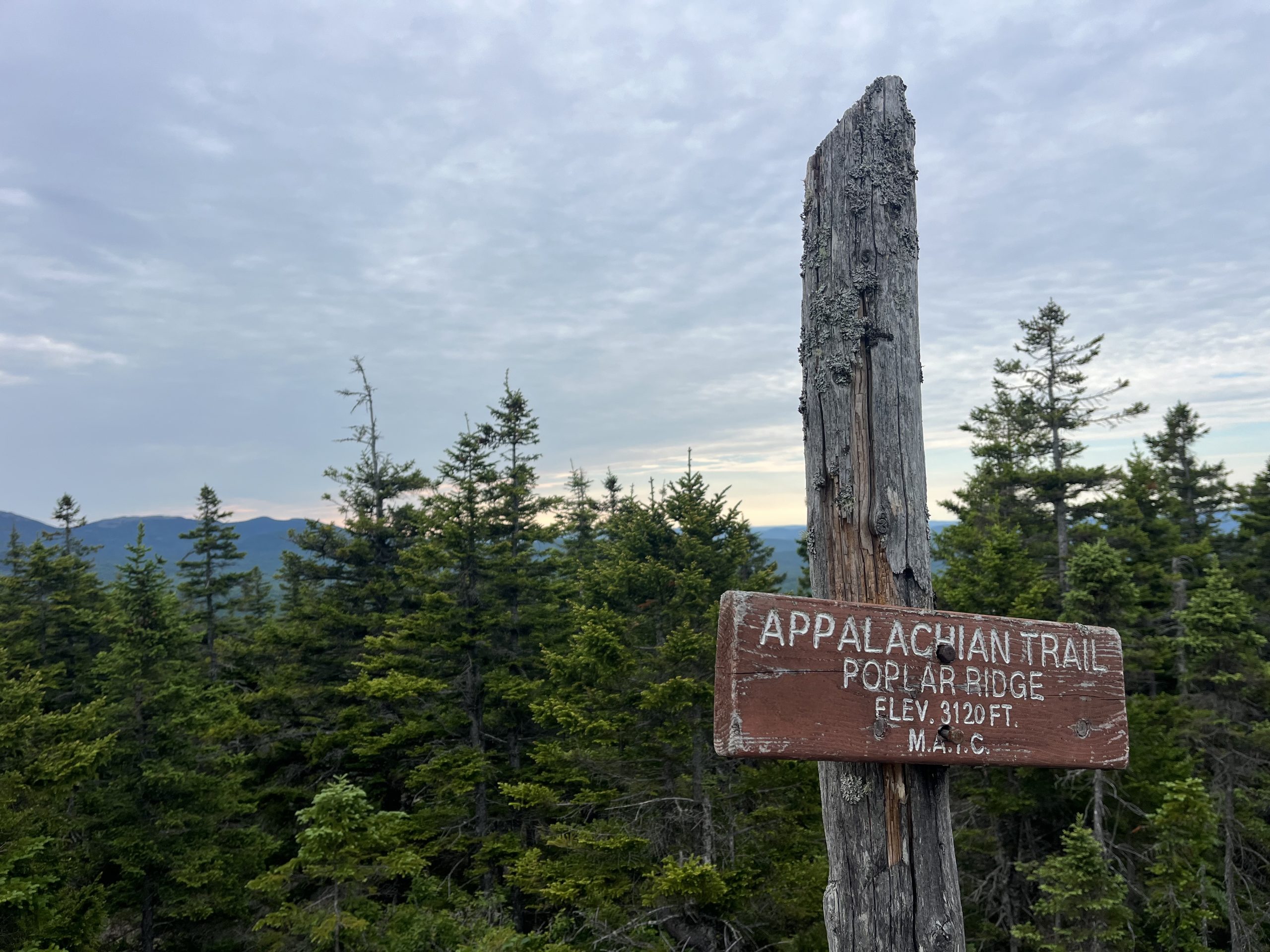 Point culminant de la journée : Poplar Ridge avant Saddleback Junior