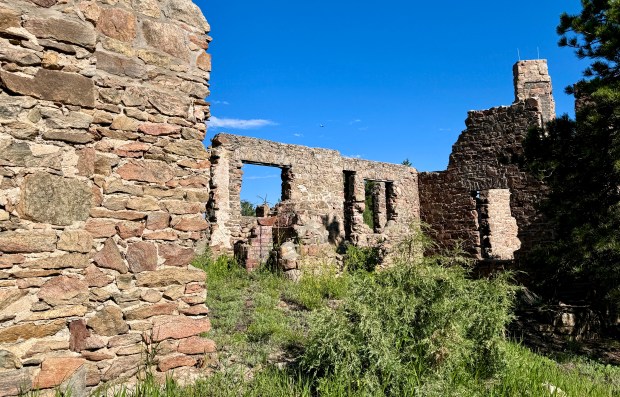 Vestiges de la maison de 1909 dans le parc Mount Falcon
