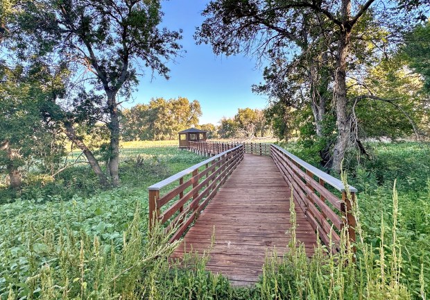 Barr Lake State Park, un paradis pour les oiseaux