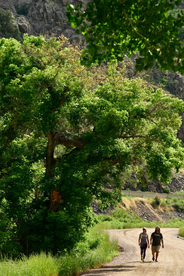 Promenade à Waterton Canyon
