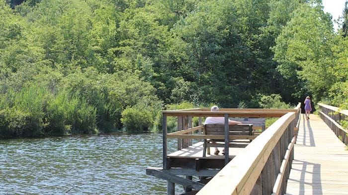 Les vues sur l'eau au Shu Swamp Preserve