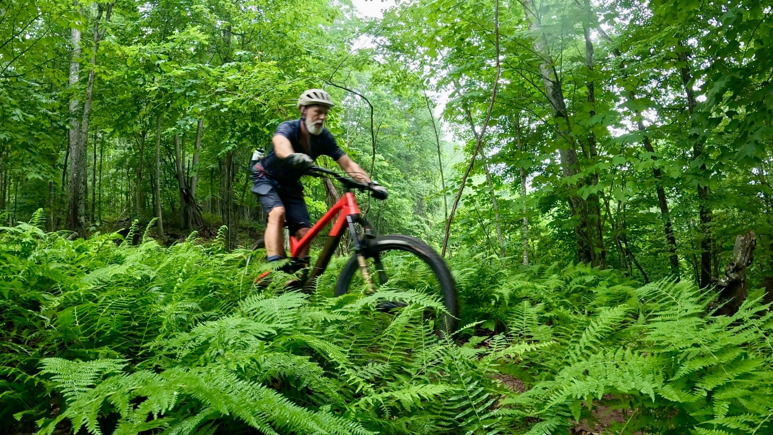 Descente en VTT sur les sentiers de Monday Lick