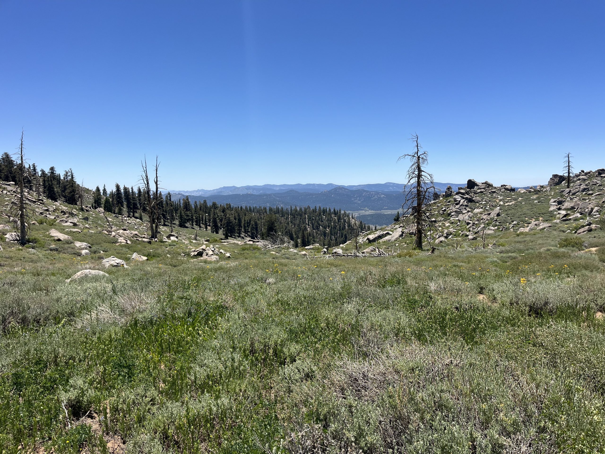 Montée vers les montagnes
