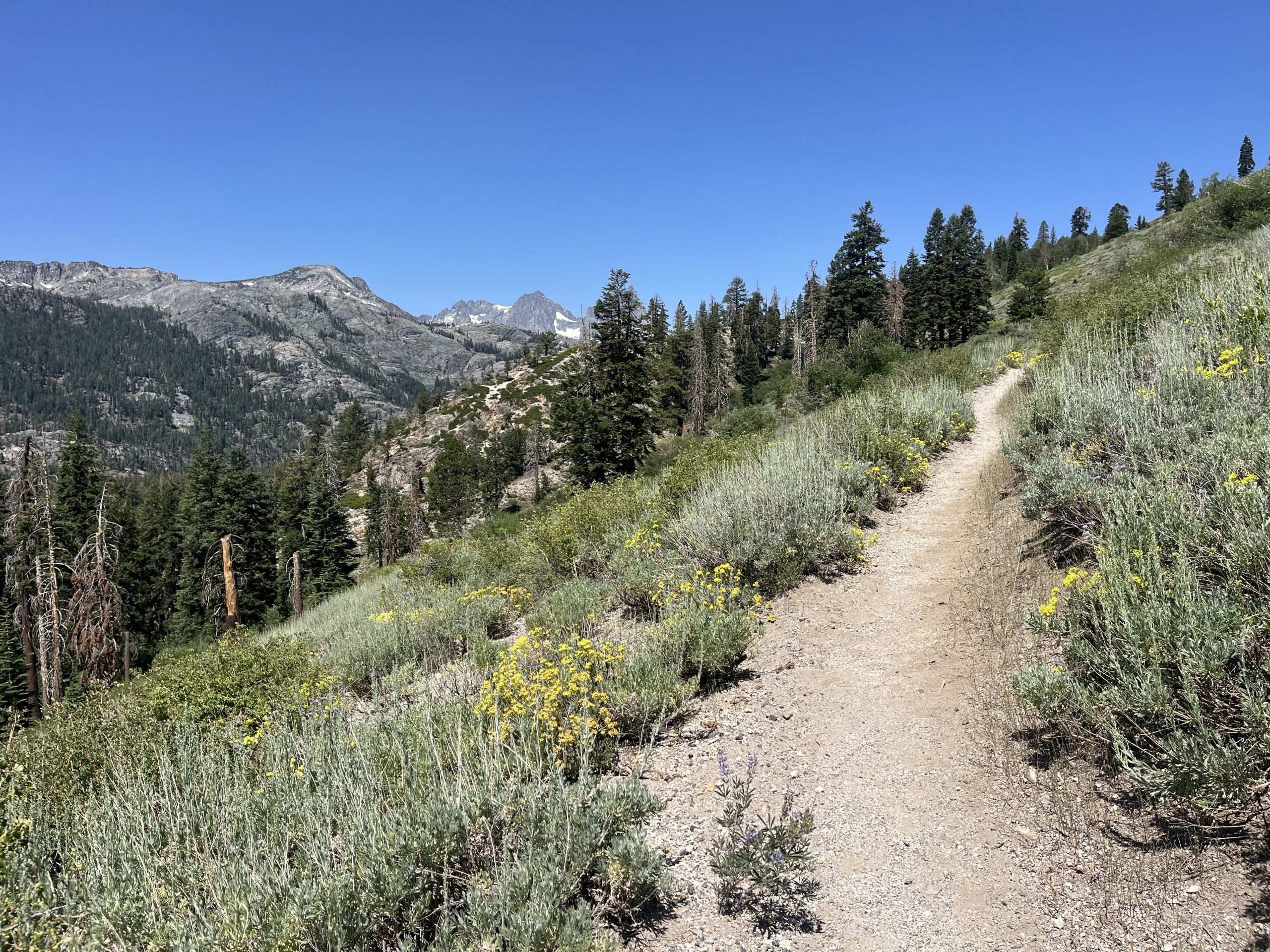Sentier agréable, progressant en douceur avant un nouveau col