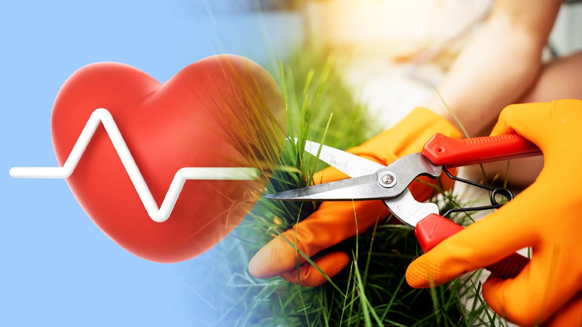 Au départ, je croyais à une simple blessure de jardinage, mais après trois jours de raideurs, ils ont redouté un début de tétanos
