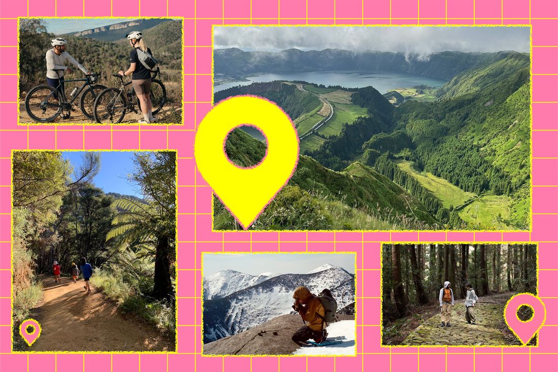 Randonneurs en pleine nature